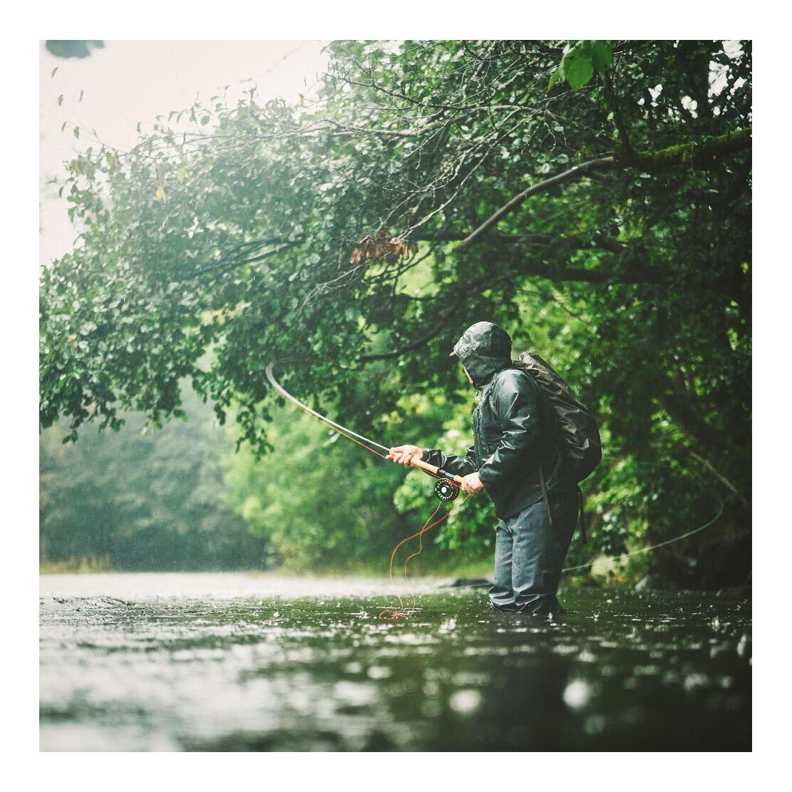 NT11 Salmon & Seatrout Switch - Switchrute