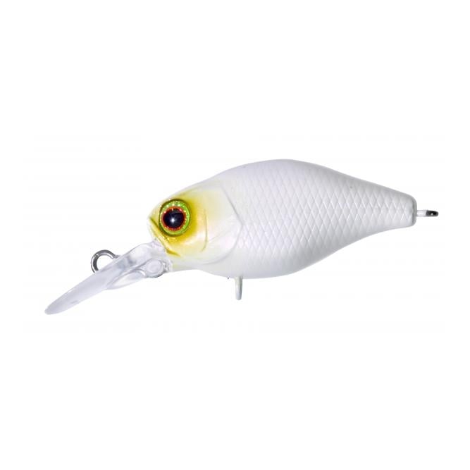 Chubby 38 MR Bone – Poisson nageur