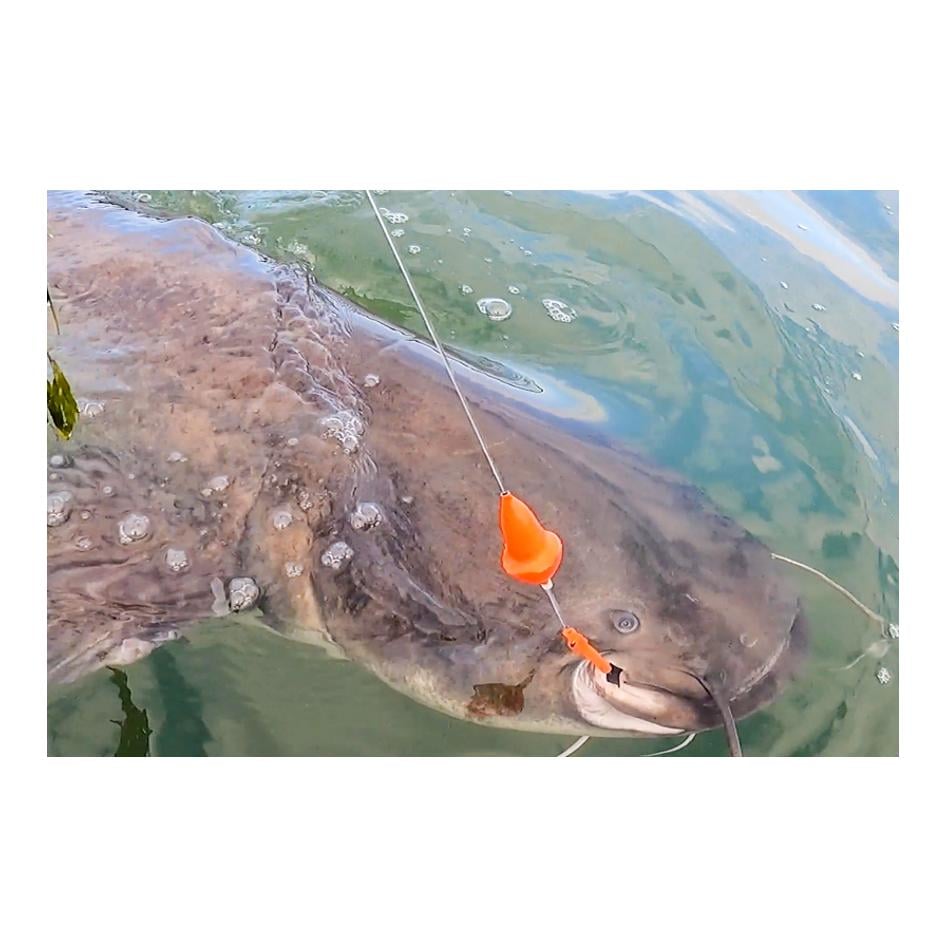 Black Cat Mushroom U-Float-Pilzpose für Waller