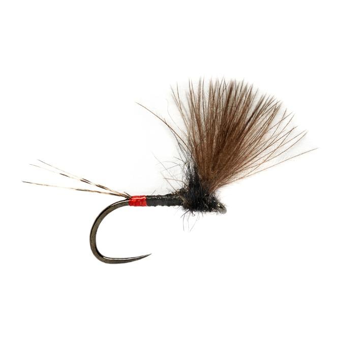 Image of Fulling Mill Roza’s French V-Wing o.W. - Trockenfliege bei fischen.ch