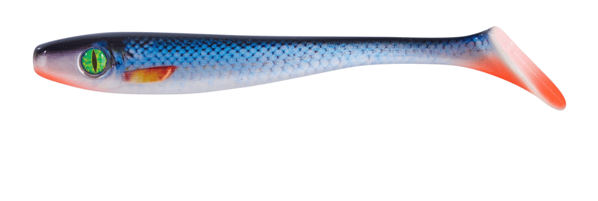 Pike Collector Shad Weissfisch