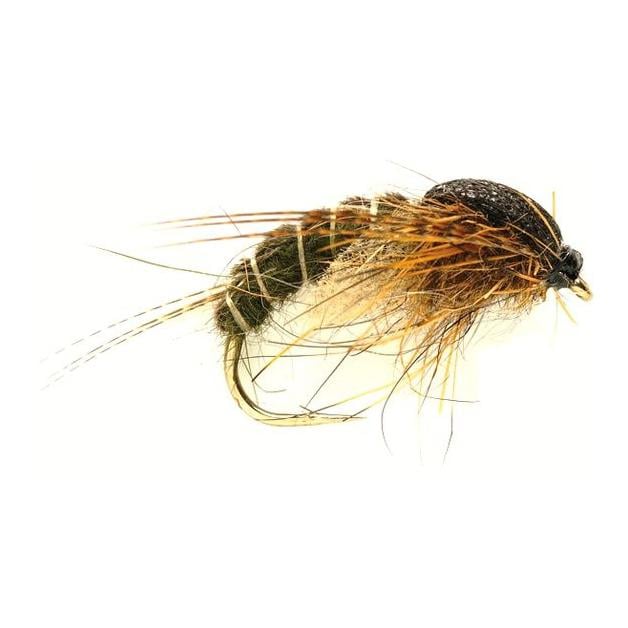 Image of Fulling Mill Hatching Sedge Dk Olive - Nymphe bei fischen.ch