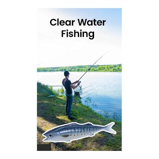 Soft Bait 