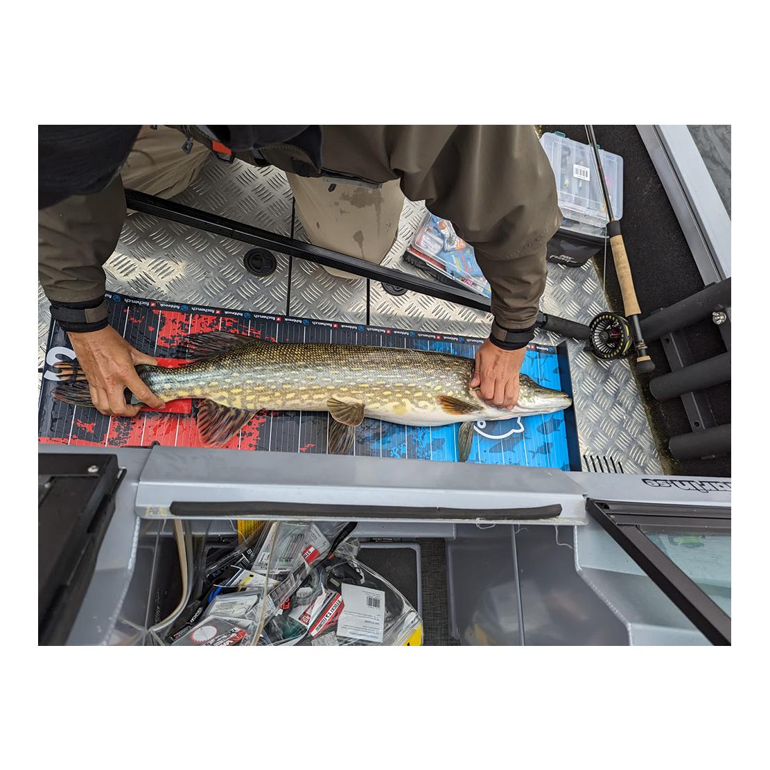 Measure Board fishbreak/fischen.ch