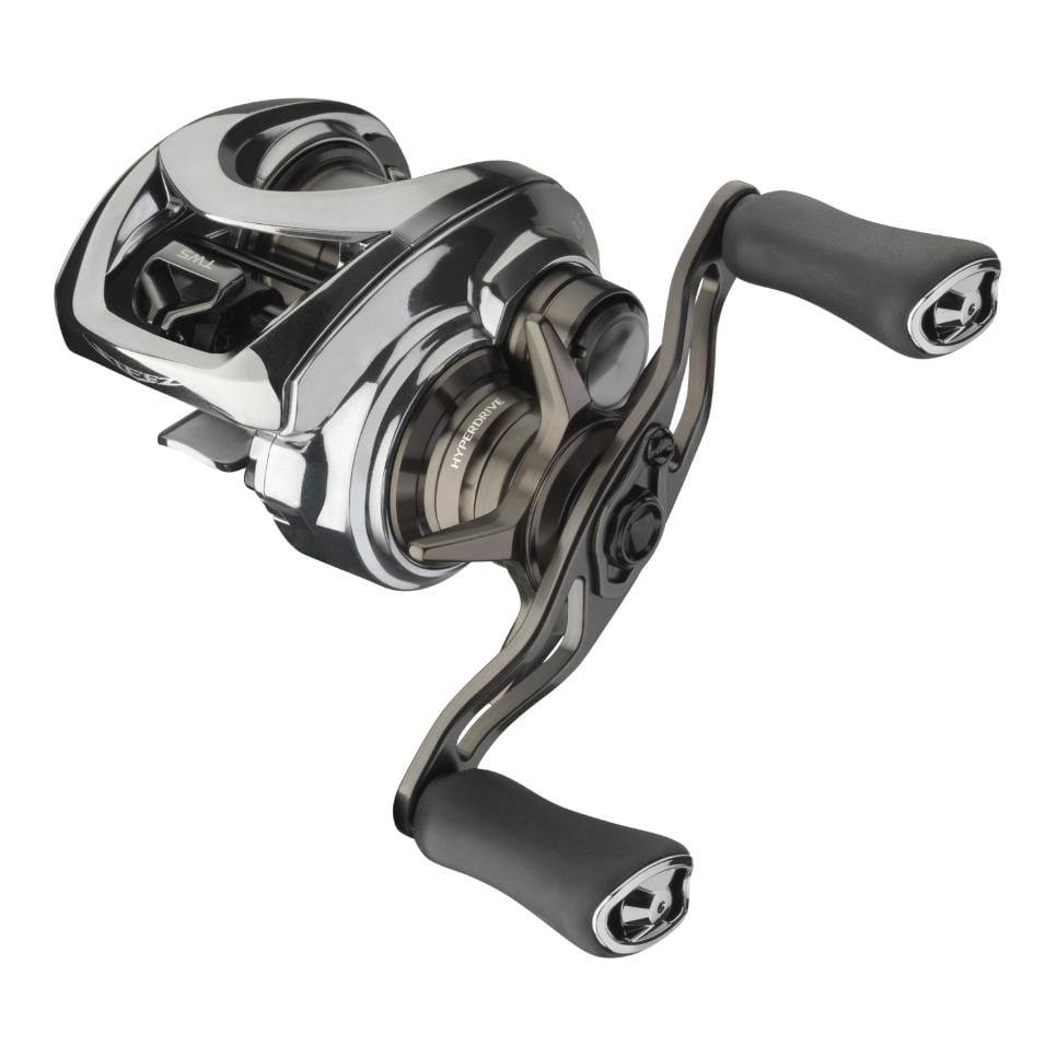 Daiwa 25 STEEZ LIMITED CT SV TW 70XHL