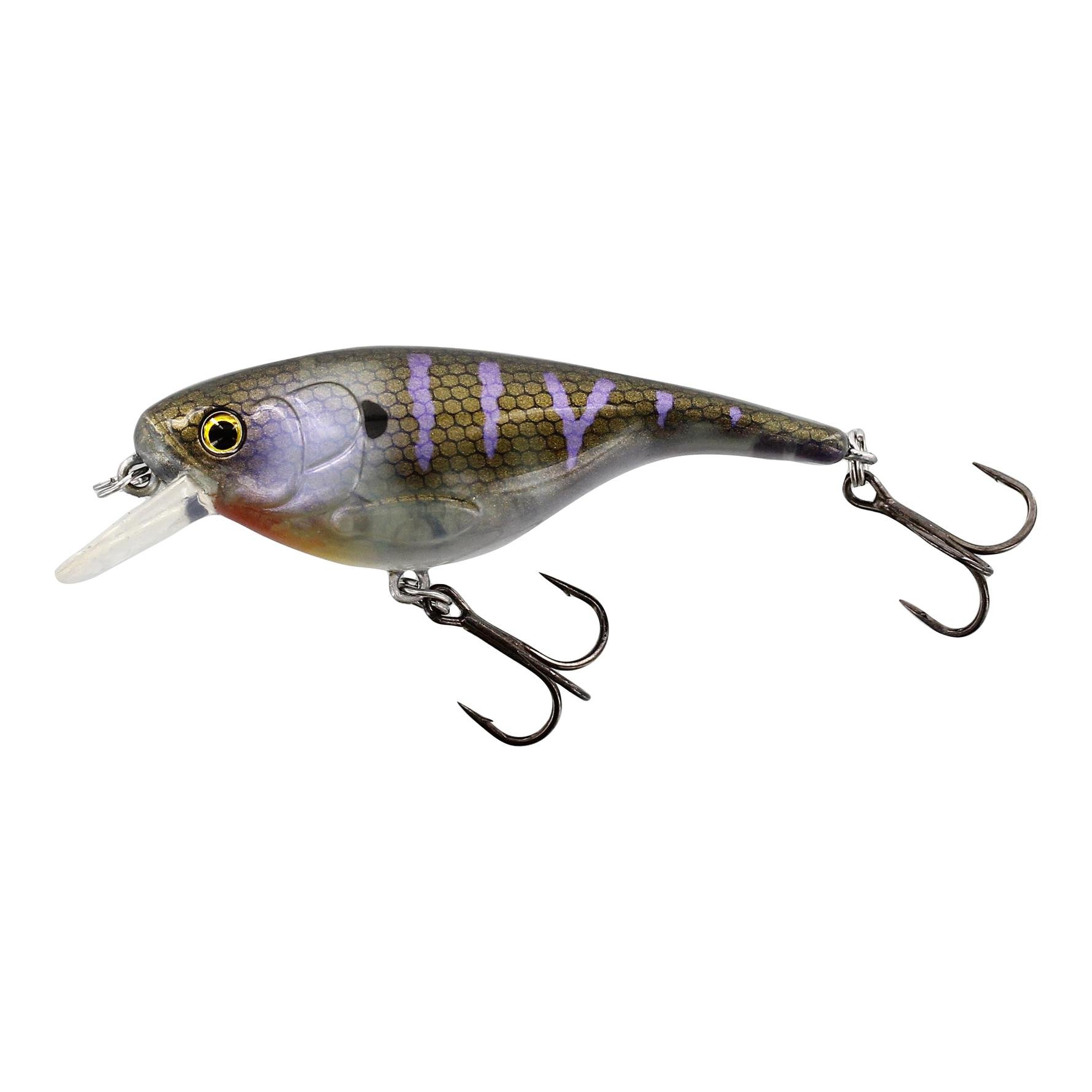 Image of Westin Baby Bite SR Crazy Bluegill - Crankbait bei fischen.ch