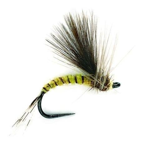 Image of Fulling Mill CdC Emerger Olive o.W. - Trockenfliege bei fischen.ch