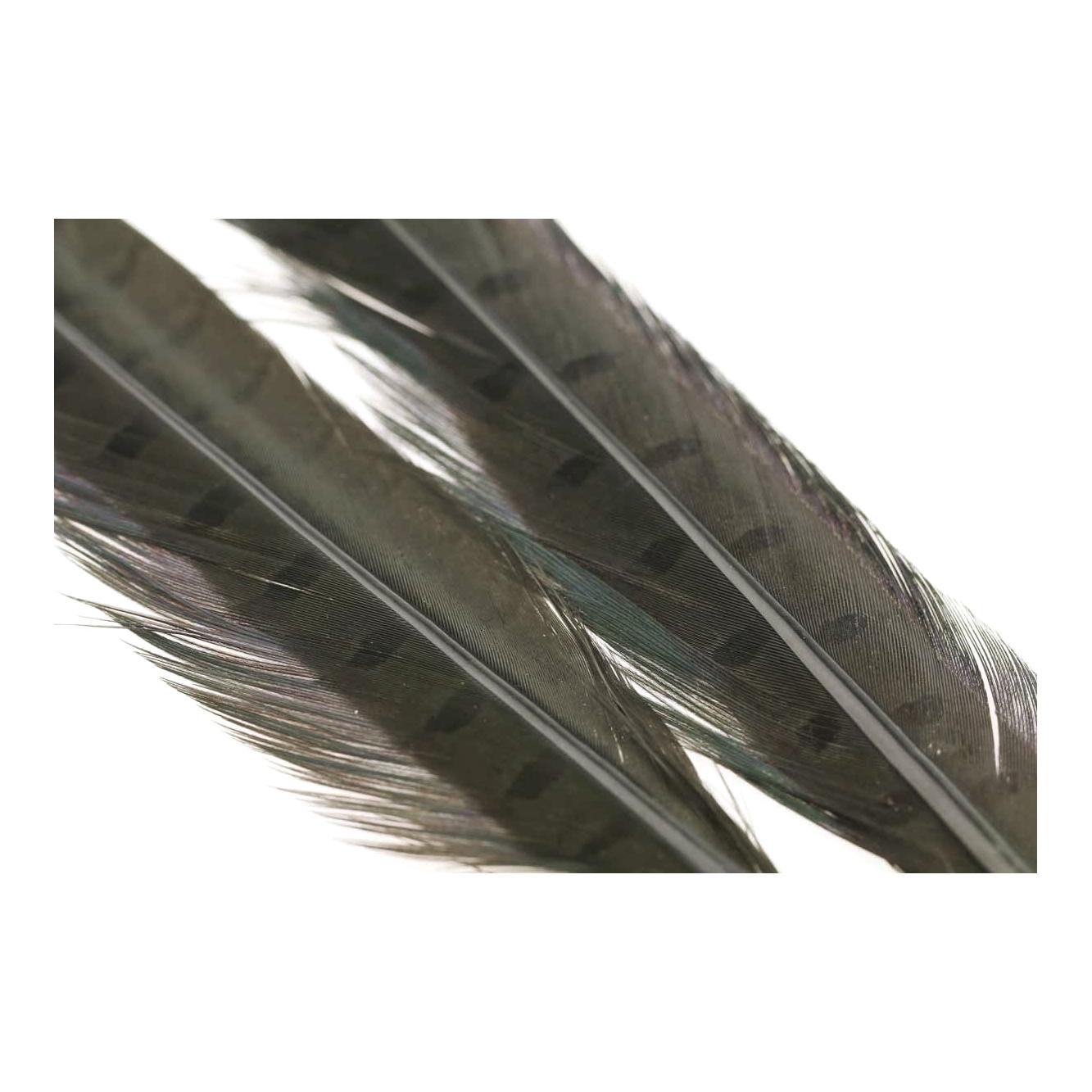 Image of Wapsi Ringneck Pheasant Tail Feathers Dun - Fasan bei fischen.ch