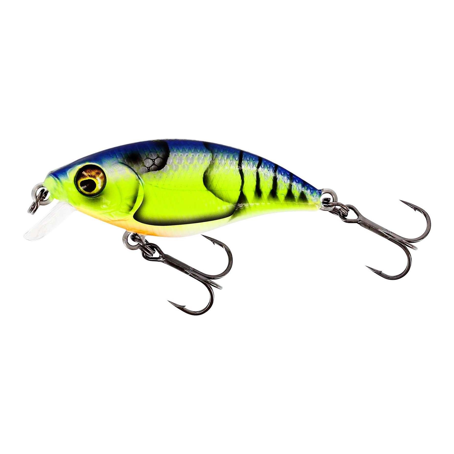 Chart Blue Craw