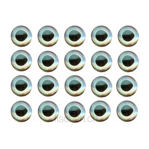 Image of Fish Skull Living Eyes - Ice - Augen bei fischen.ch