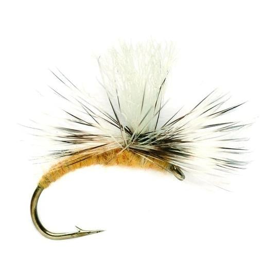 Image of Fulling Mill Sulpher Emerger - Trockenfliege bei fischen.ch