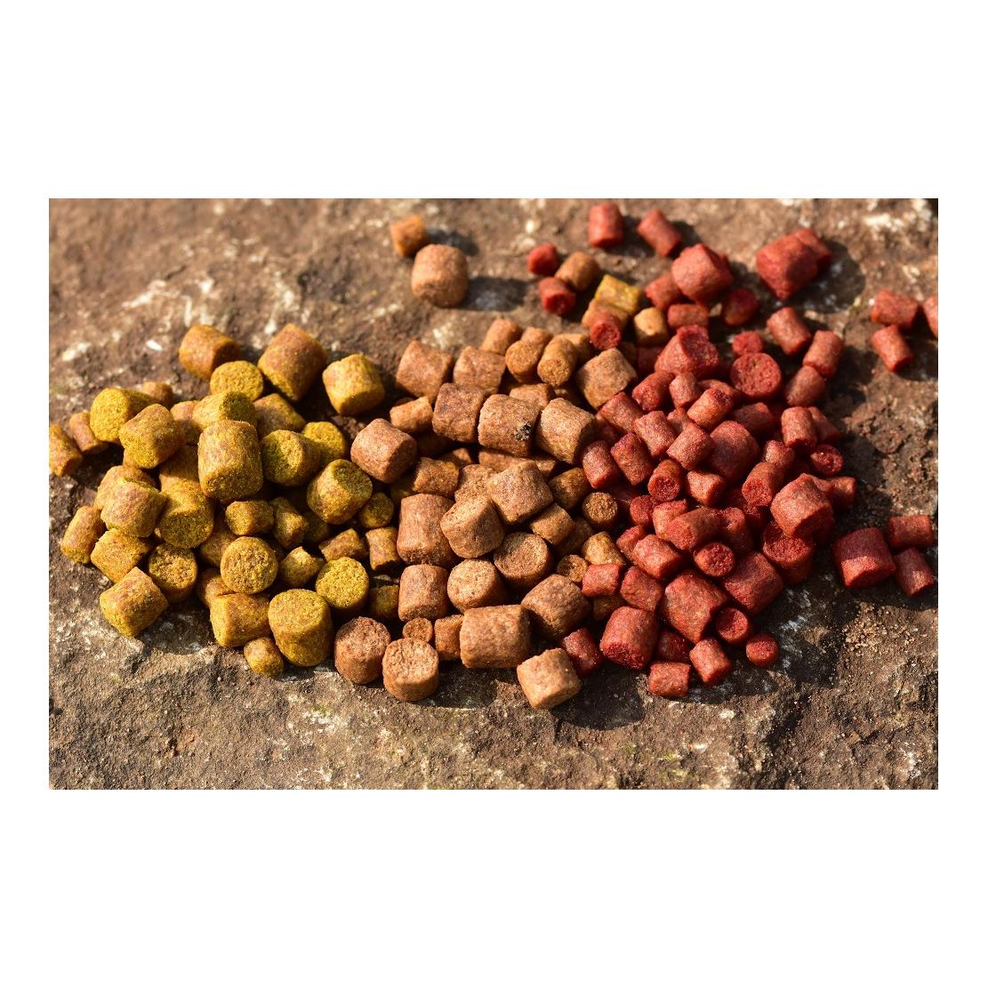 Big Fish River Feed Pellets Cheese & Garlic - Pellets