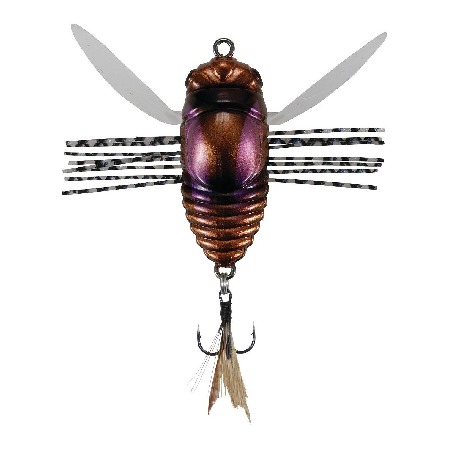 Realis Shinmushi Cicada