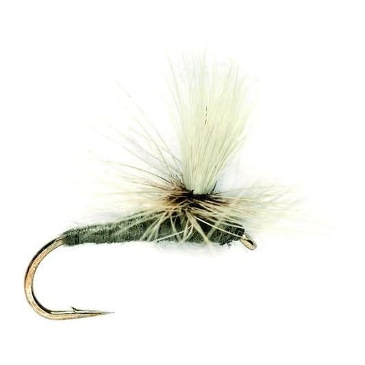 Image of Fulling Mill Parachute Grey Duster - Trockenfliege bei fischen.ch