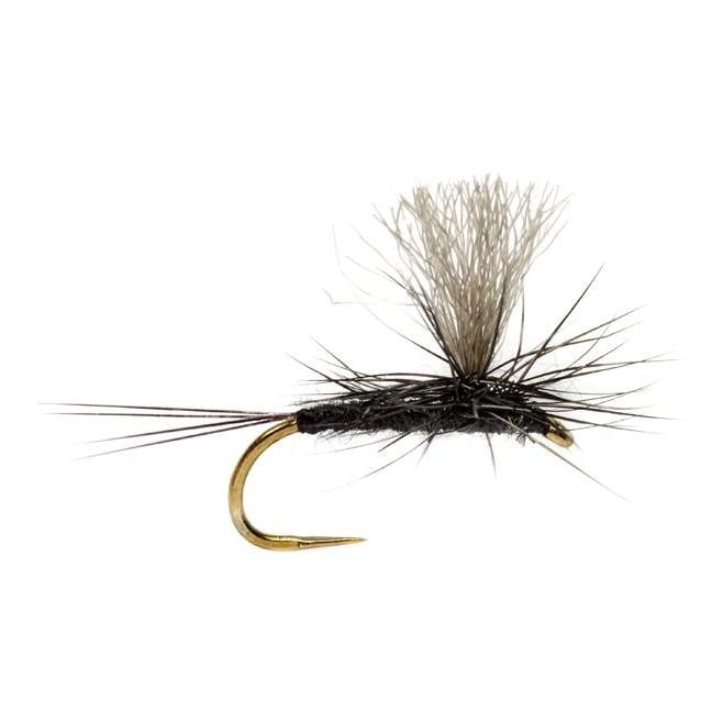 OE Iron Blue Dun Paradun o.W. - Trockenfliege