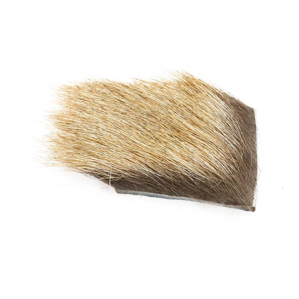 Image of Wapsi Elk Body Hair Light (Bull) - Hirsch bei fischen.ch