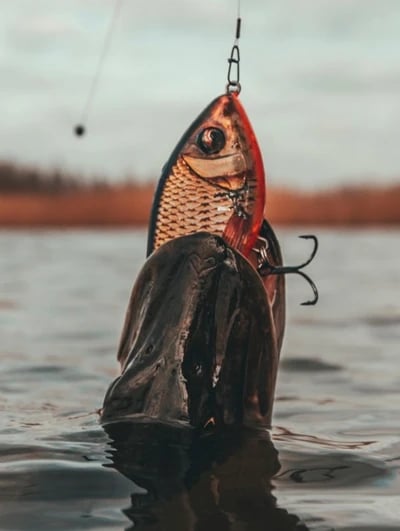 FI_Start_Hechtsaison