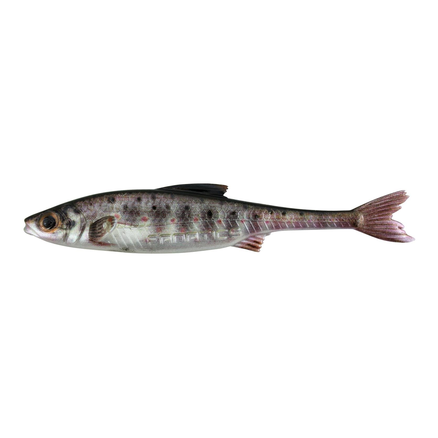 Stucki Fishing Real Rider Fish Tail TRJ - Leurre souple