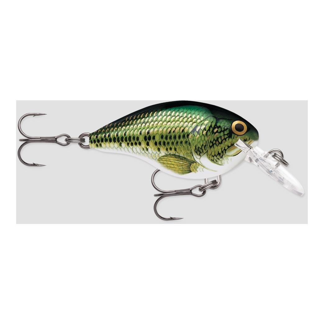 DT® (DIVES-TO) SERIES – Poisson nageur