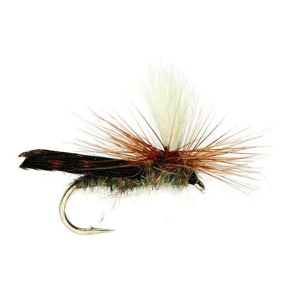Image of Fulling Mill Parachute Sedge - Trockenfliege bei fischen.ch
