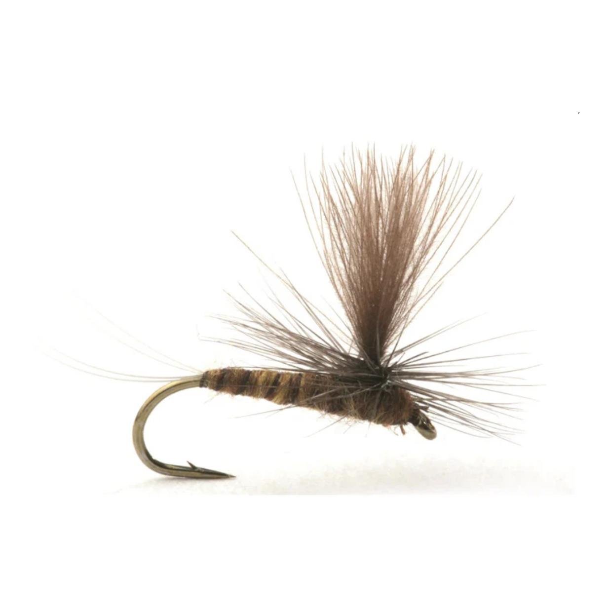 Guideline Marginata