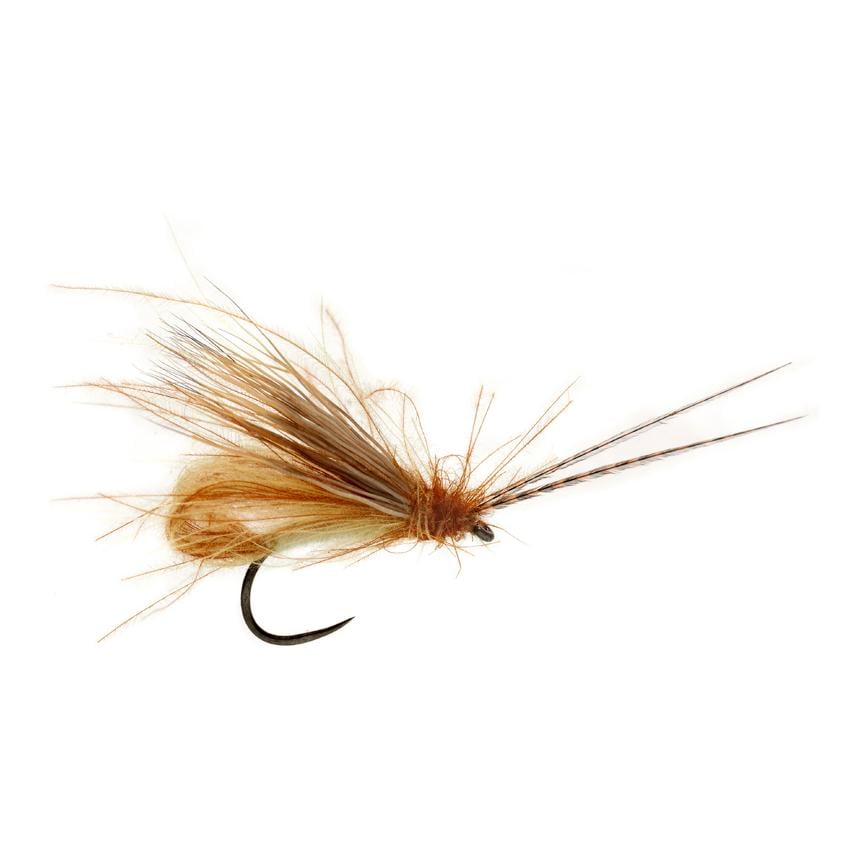 Image of Fulling Mill McPhail Bubble Wing Caddis Cinnamon o.W. - Trockenfliege bei fischen.ch