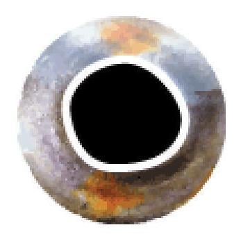 Image of Pro Sportfisher Pro Cool Eyes - silver bei fischen.ch