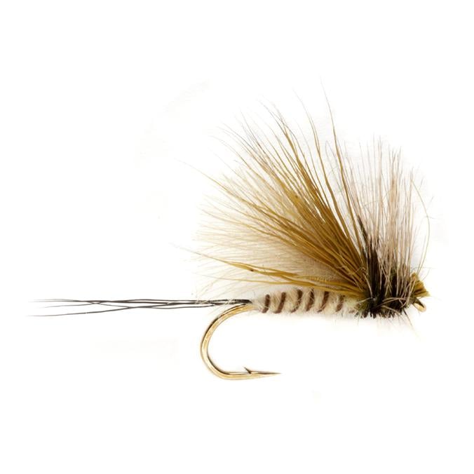 Image of Fulling Mill Procter's Active Mayfly Dun - Trockenfliege bei fischen.ch
