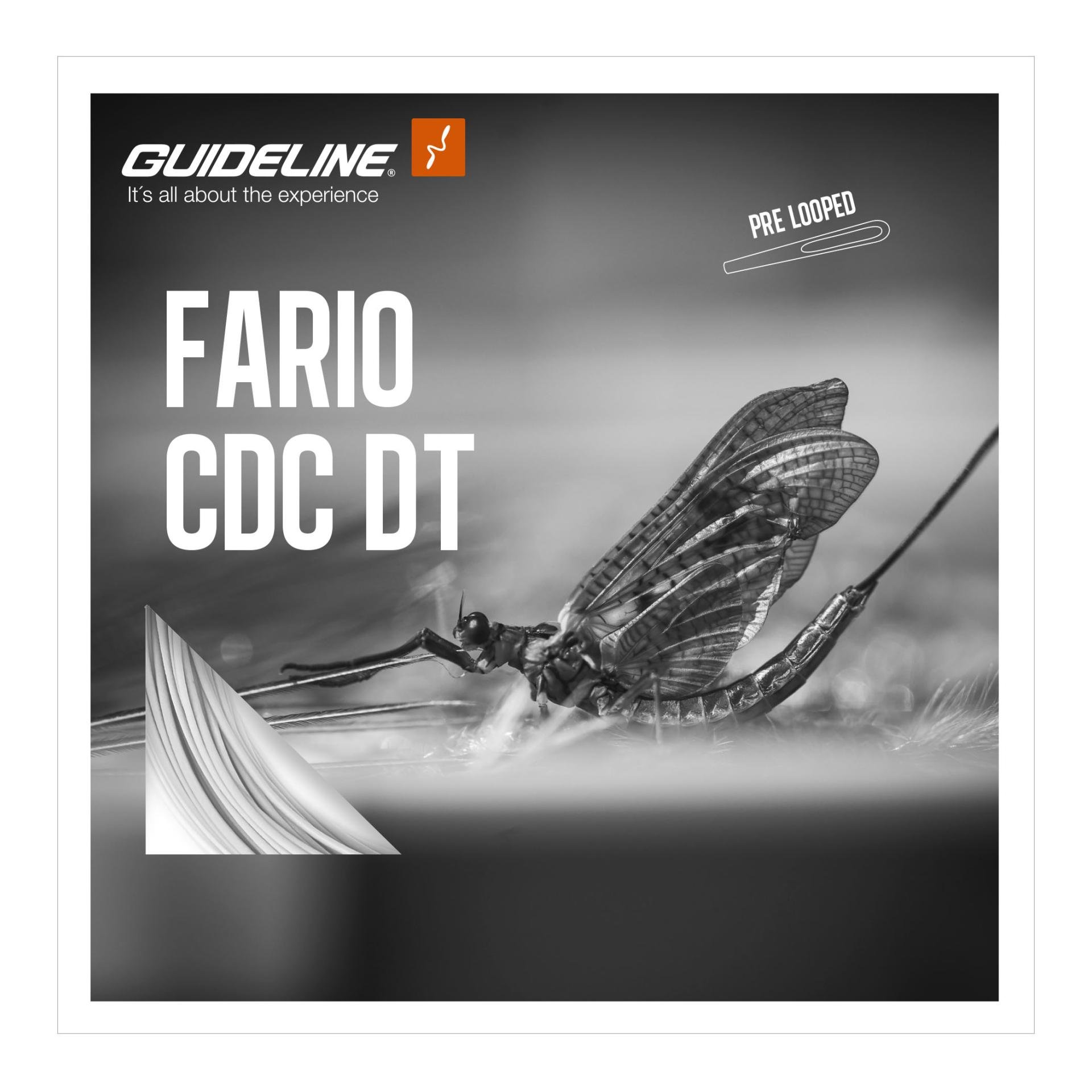 Fario CDC DT/F - Fliegenschnur