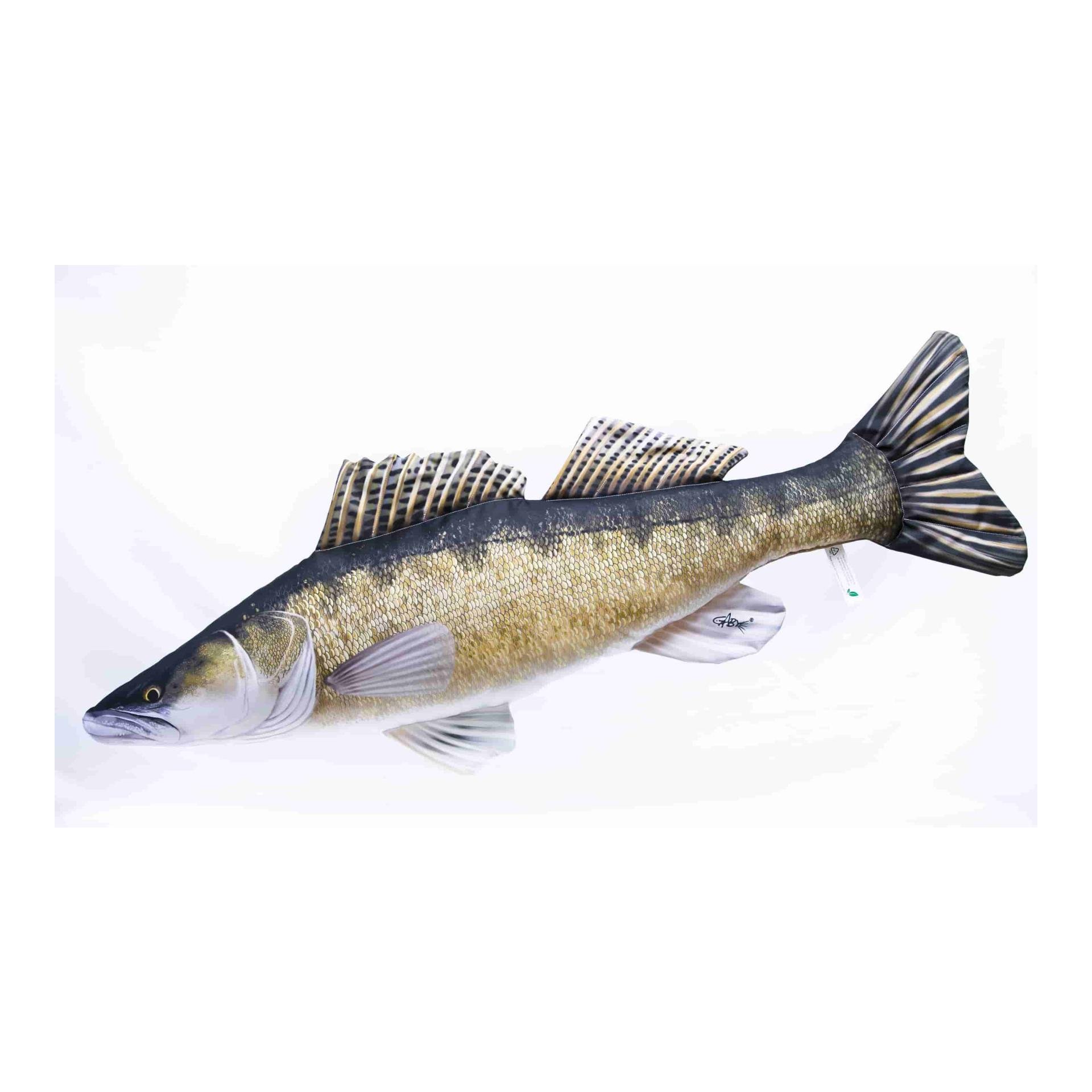 Zander - Stofffisch