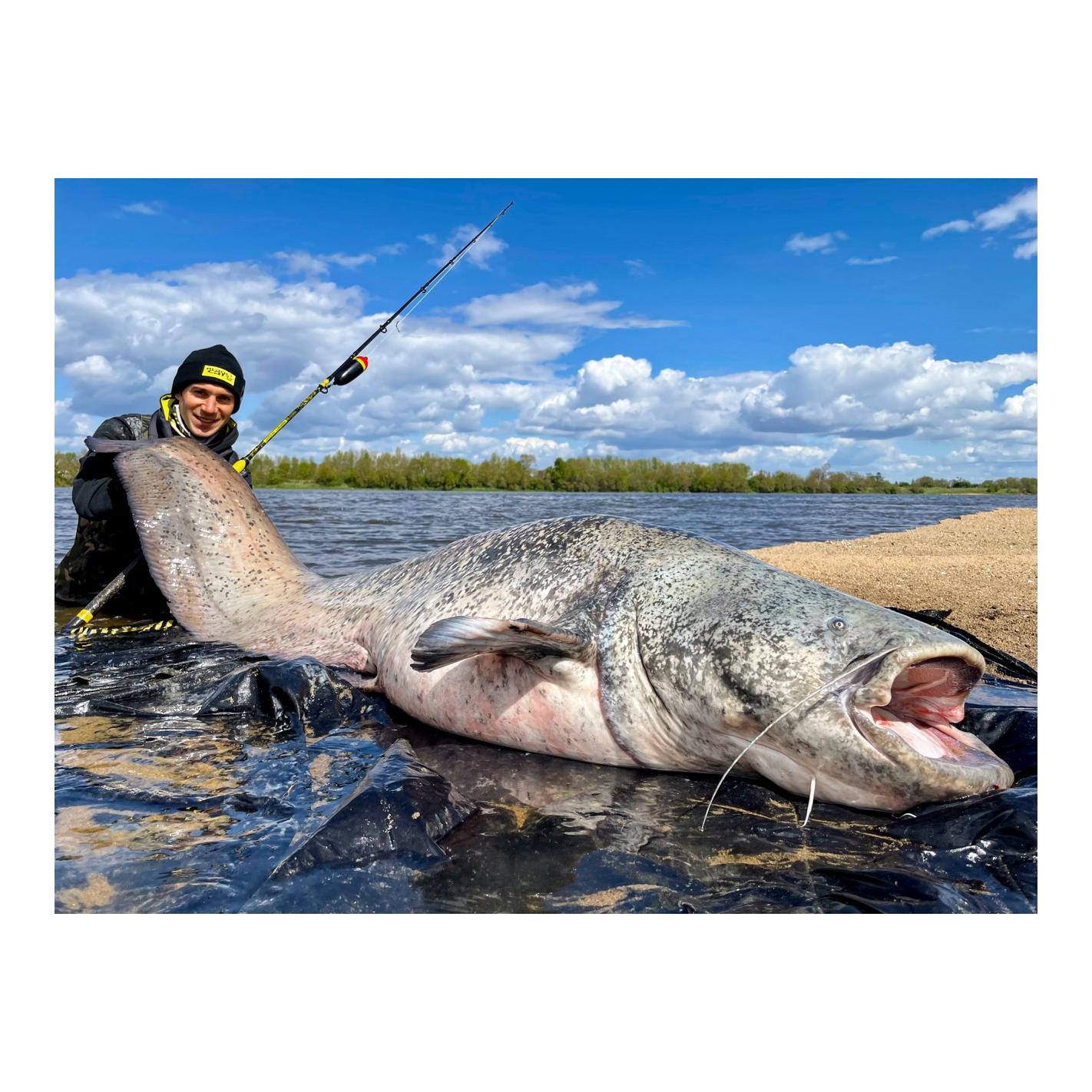 Black Cat Perfect Passion Spin 2,70 m – Welsrute