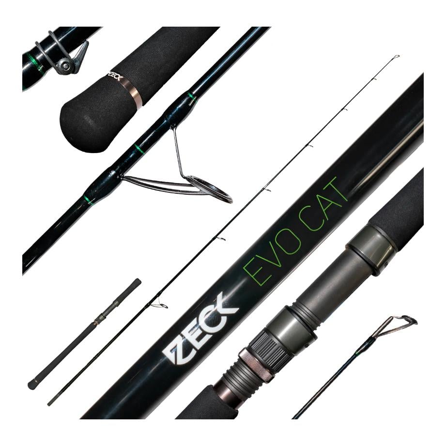Evo Cat Spin - Welsrute