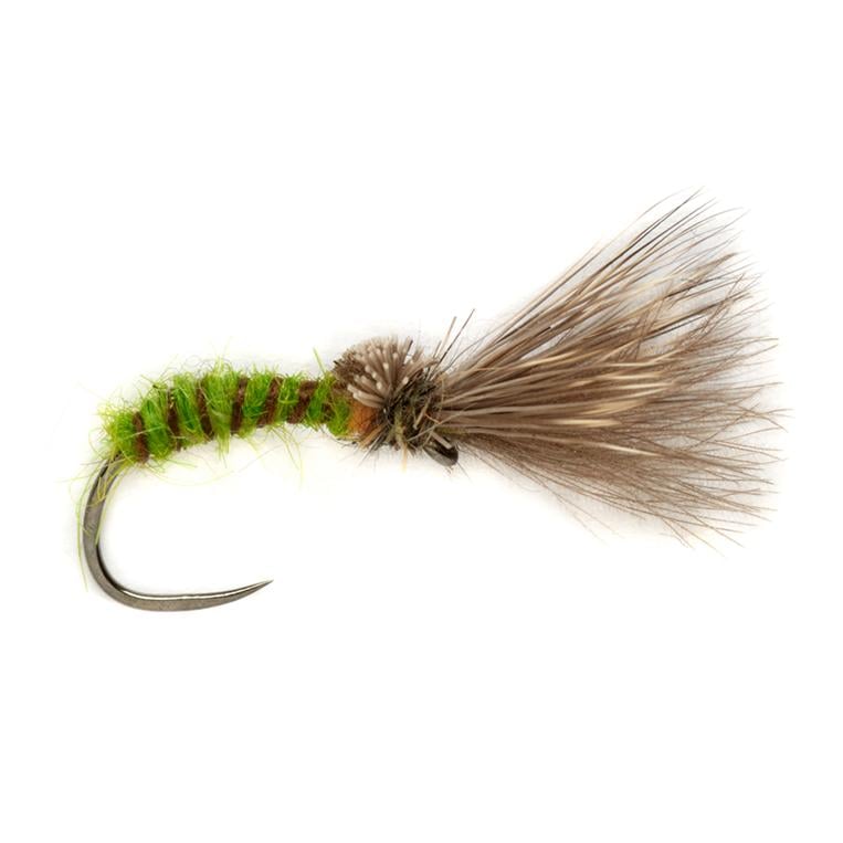 Image of Fulling Mill Procter's Caddis Emerger Green o.W. - Trockenfliege bei fischen.ch