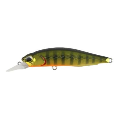 Gold Perch