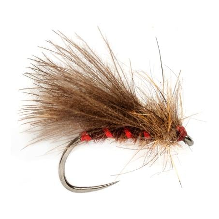Roza’s Red Rib Caddis o.W. - Trockenfliege
