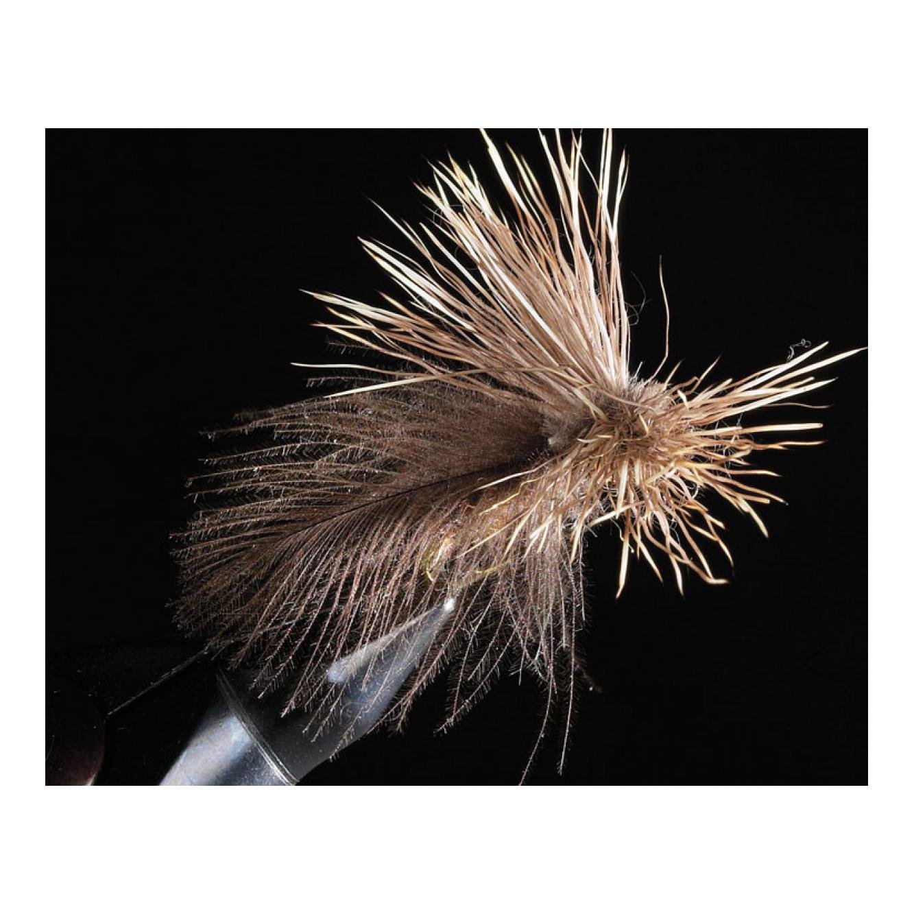 CDC Fluttering Caddis - Trockenfliege