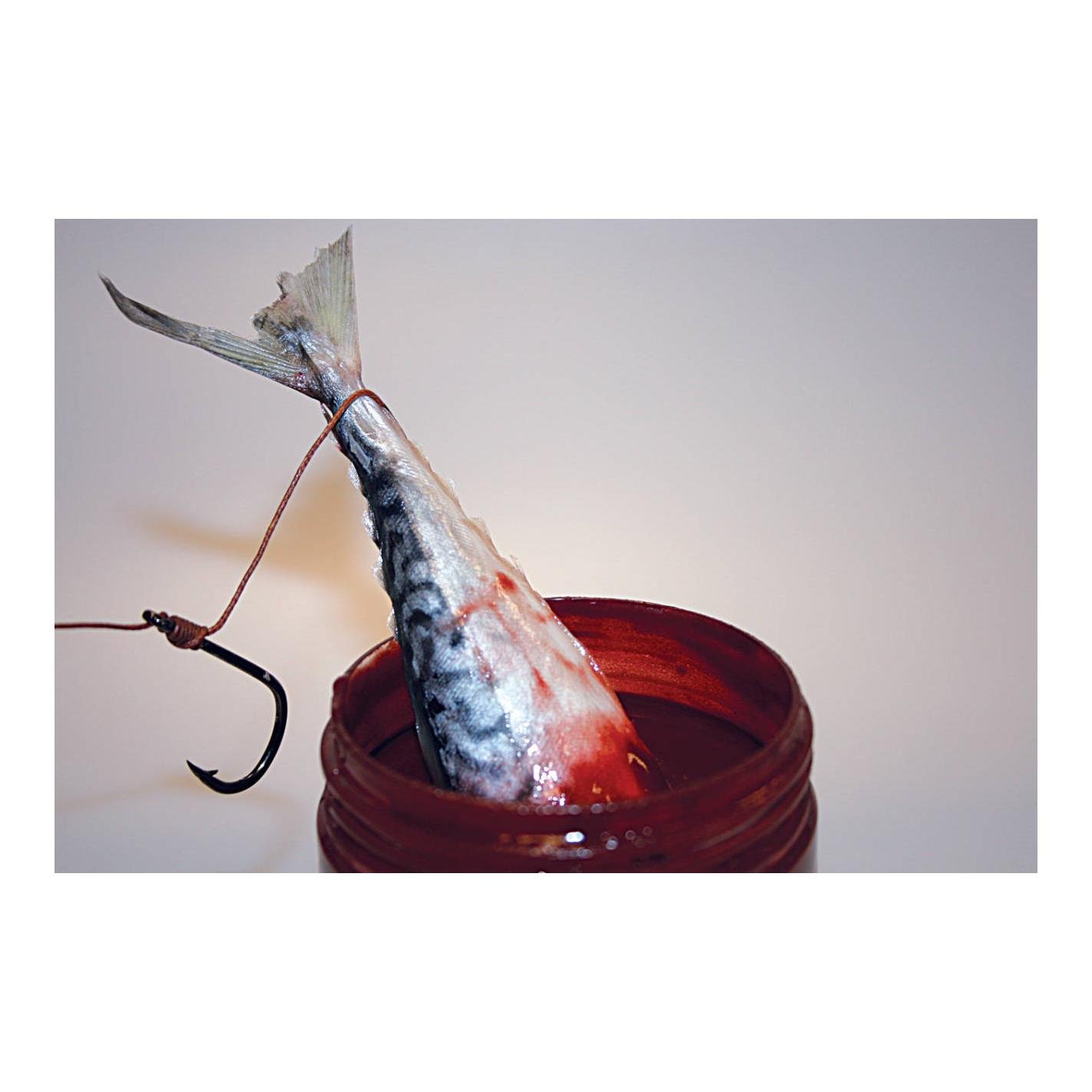 Bloodied Eel Bait Dip - Dip