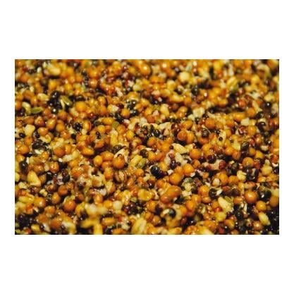 Frenzied Feeder Particles Natural - Futter Partikel