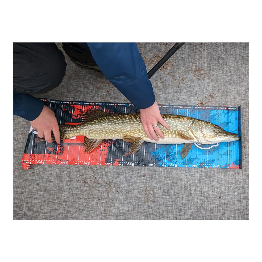 Measure Board fishbreak/fischen.ch