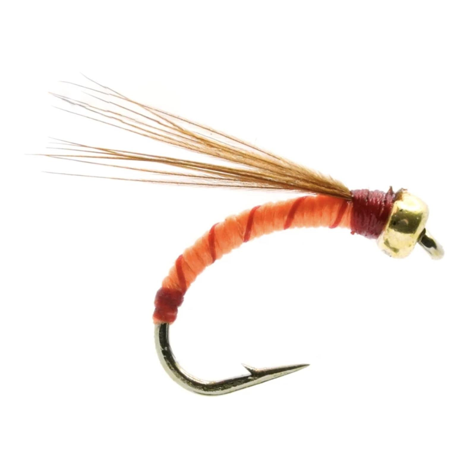 Goldkopfnymphe 5 - Nymphe