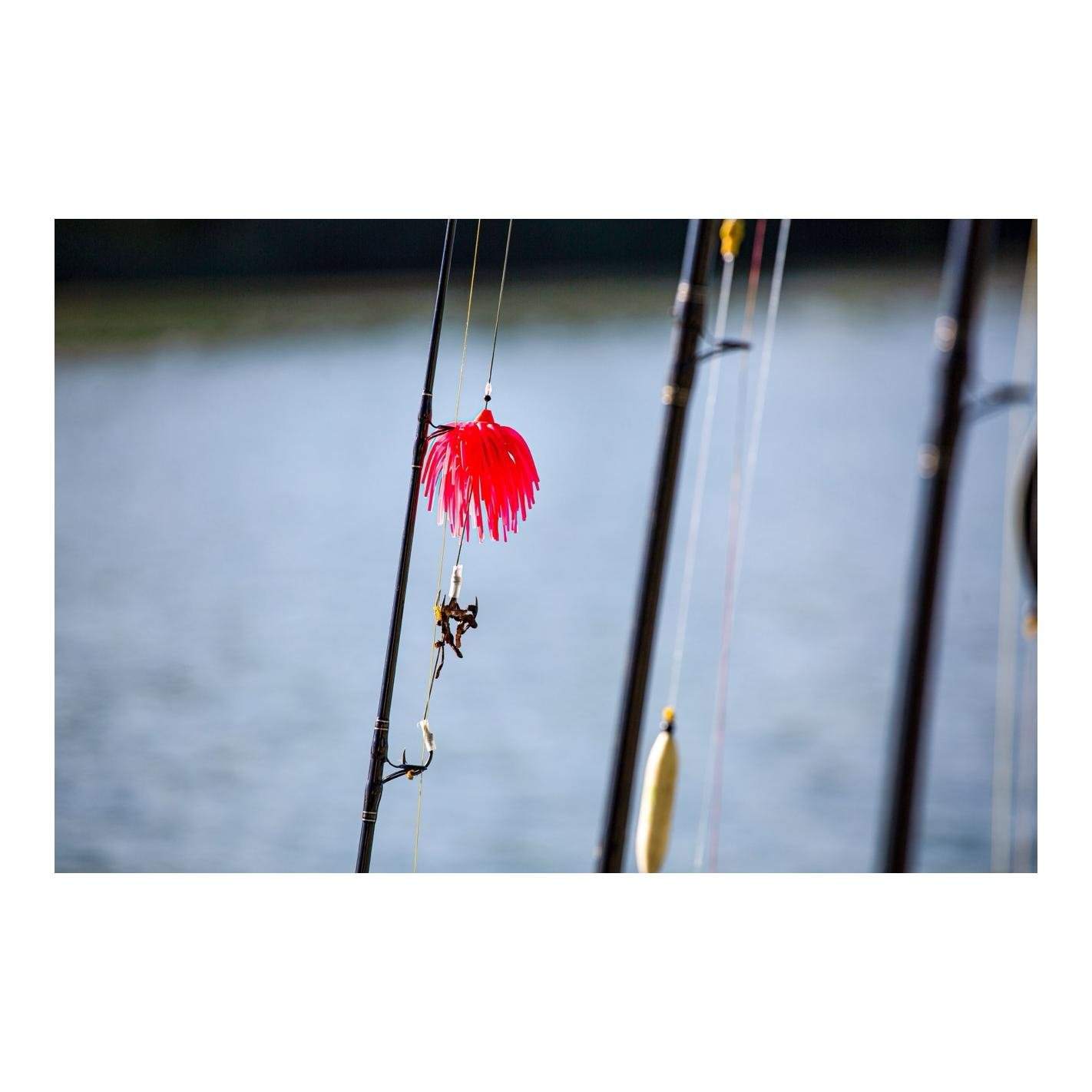 Black Cat Real Worm Teaser