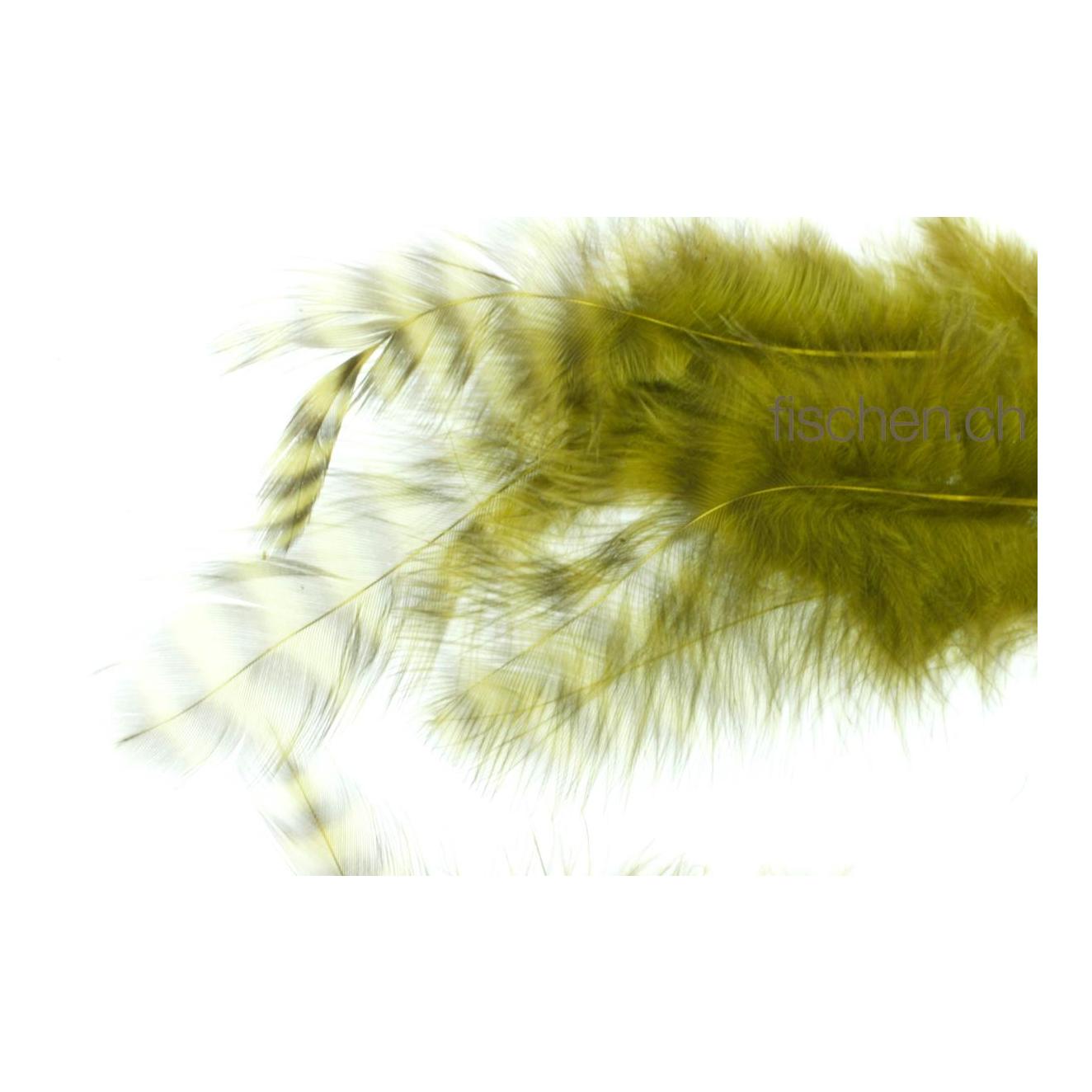 Image of Hareline Dubbin Grizzly Soft Hackle - Olive bei fischen.ch