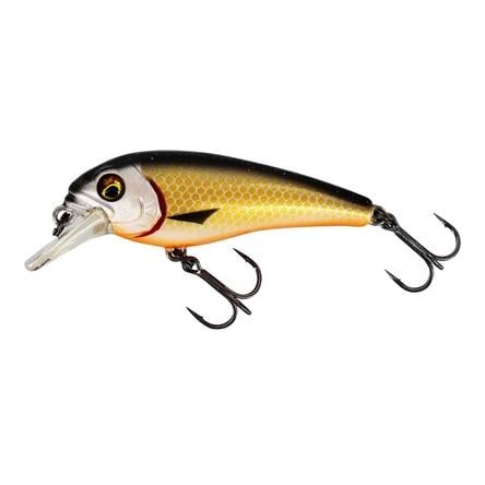 Image of Westin Bullybite Official Roach - Crankbait bei fischen.ch
