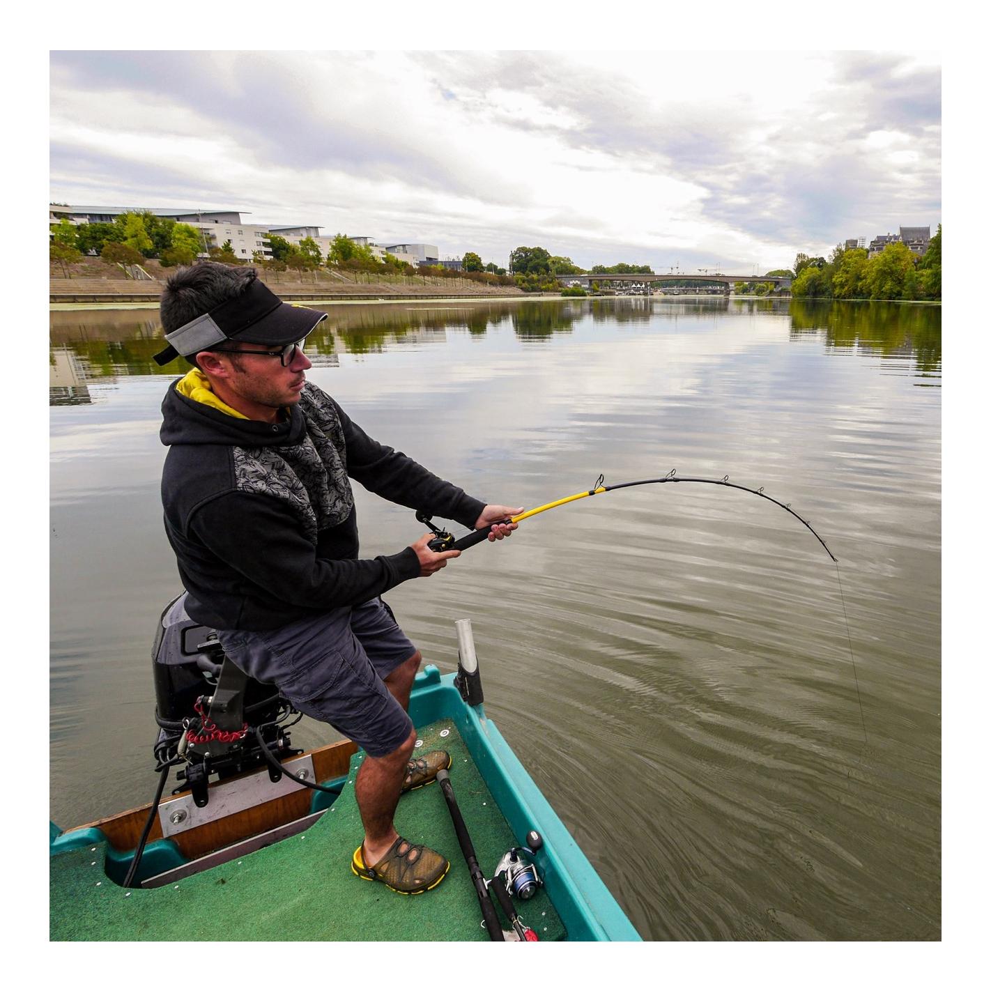 Black Cat Black Passion G2 Vertical 1,80 m – Welsrute