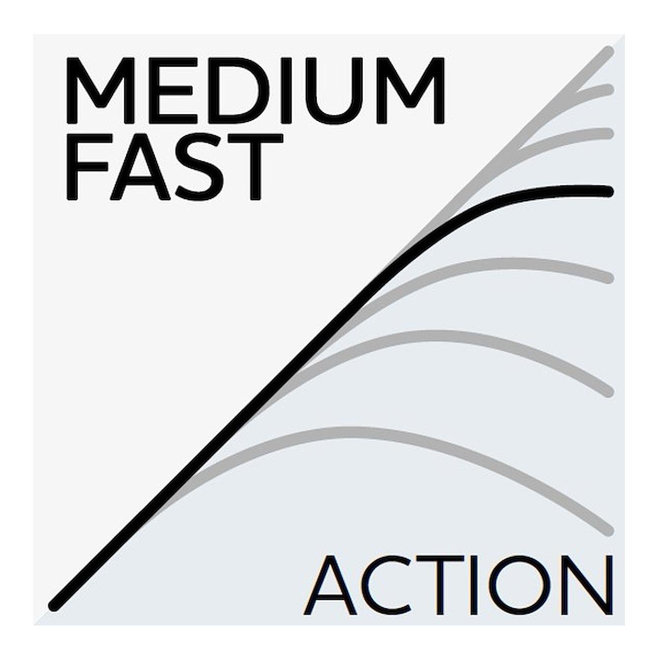 W6 Jerk & Swimmbait-T 2nd - Castingrute