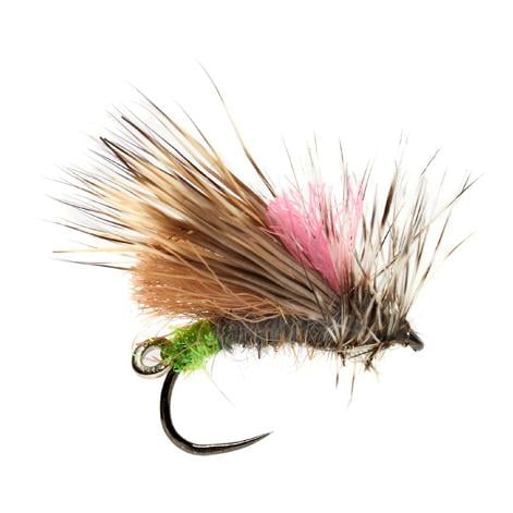 Image of Fulling Mill Duo Caddis o.W. - Trockenfliege bei fischen.ch