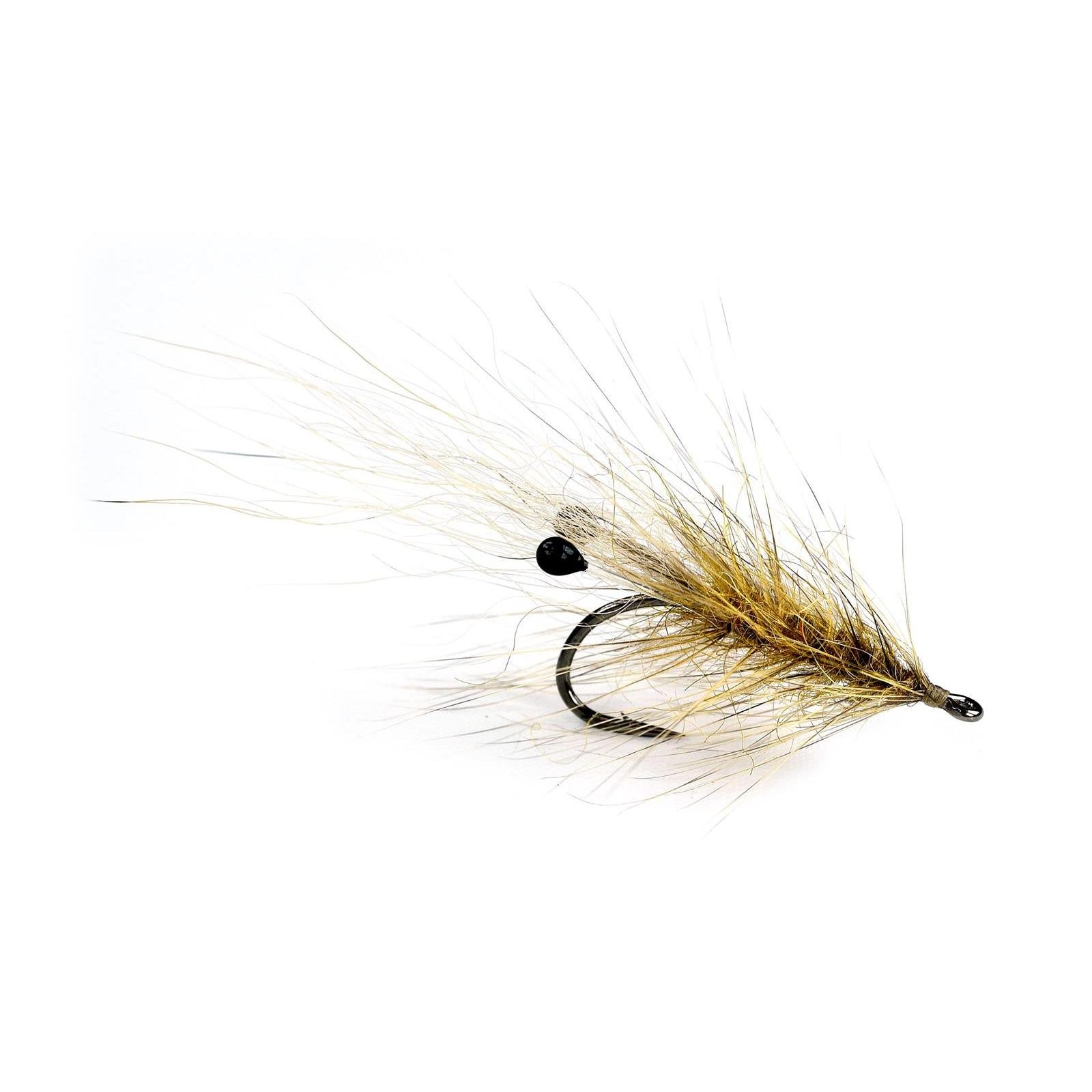 Coyote Grisen - Streamer