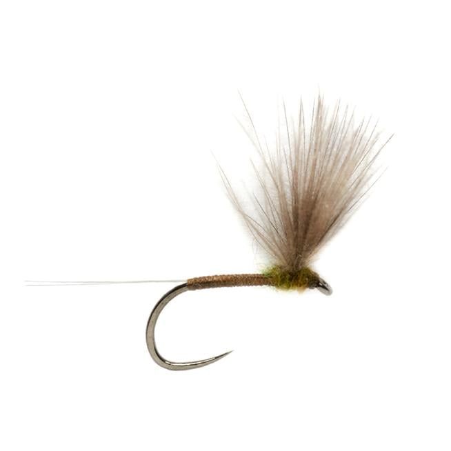 Weiss' CdC Baetis o.W. - Trockenfliege