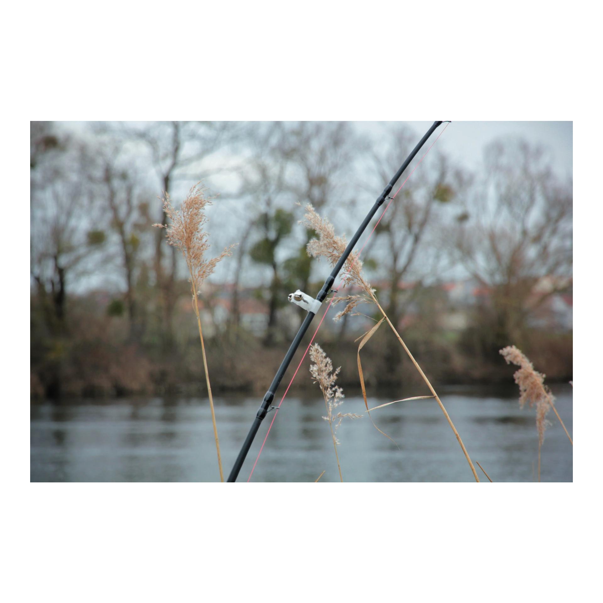 Cat Bells Wallerglocken 3er Pack