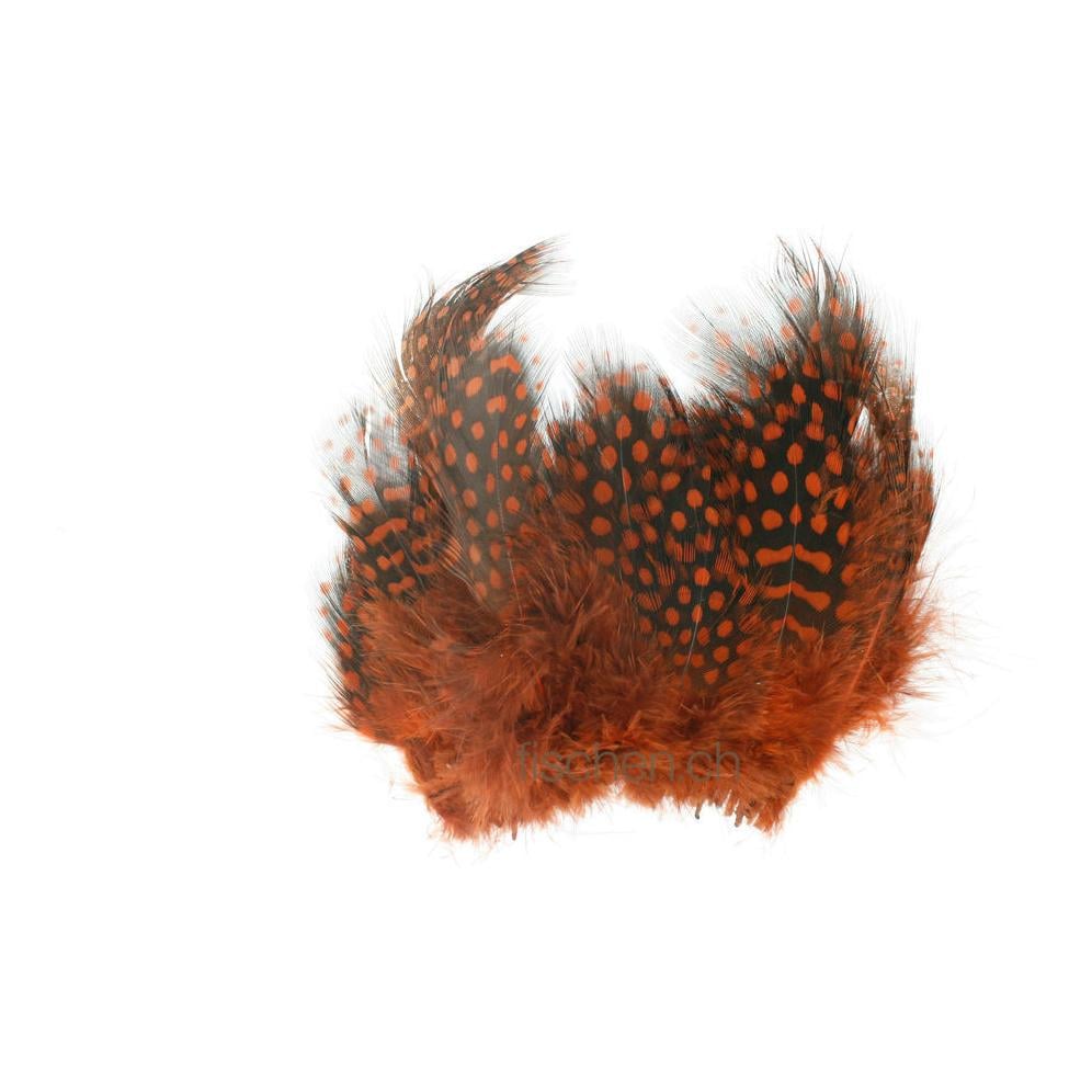 Image of Hareline Dubbin Strung Guinea Feathers - Brown - Perlhuhn bei fischen.ch